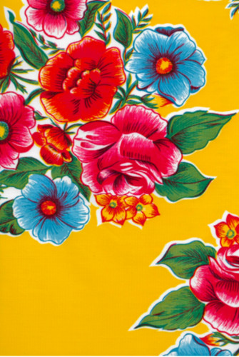 Oilcloth fabric texas - fabric, lady
