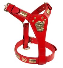 Staffy designer dog harness - staffy,