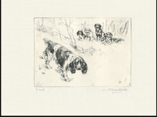 ENGLISH SPRINGER SPANIEL