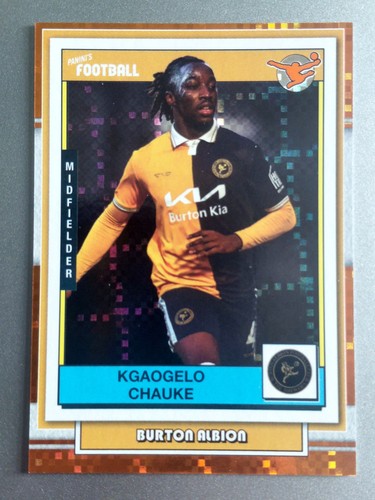 2026 panini premium efl - panini,
