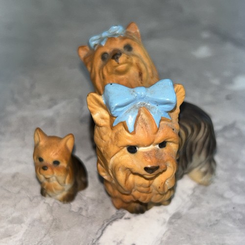 Trio vintage yorkshire - yorkshire, terrier