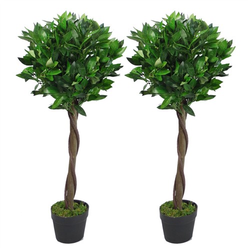Pair 90cm twisted stem - of,