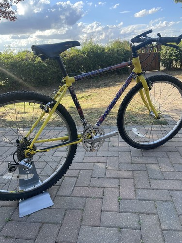Raleigh dynatech diablo - raleigh,