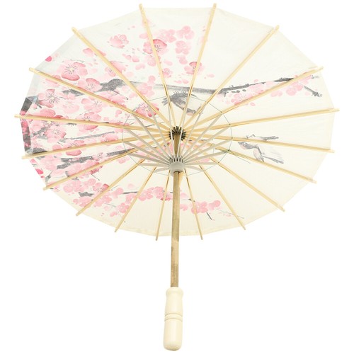Paper parasol umbrella - parasol, chinese