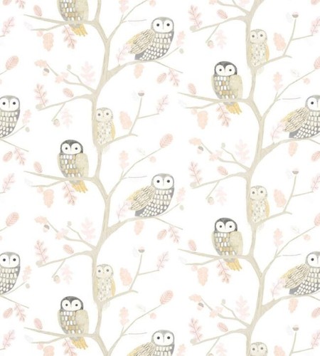 Harlequin little owls - harlequin, of
