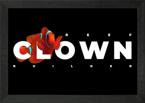 Clownfish marine fish framed - clownfish,