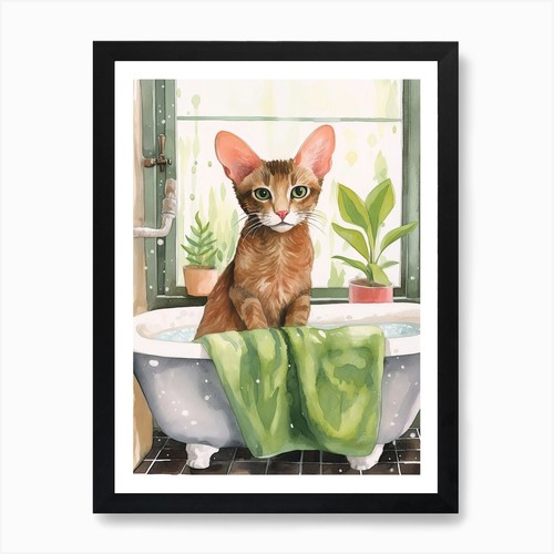 Oriental shorthair cat - shorthair,