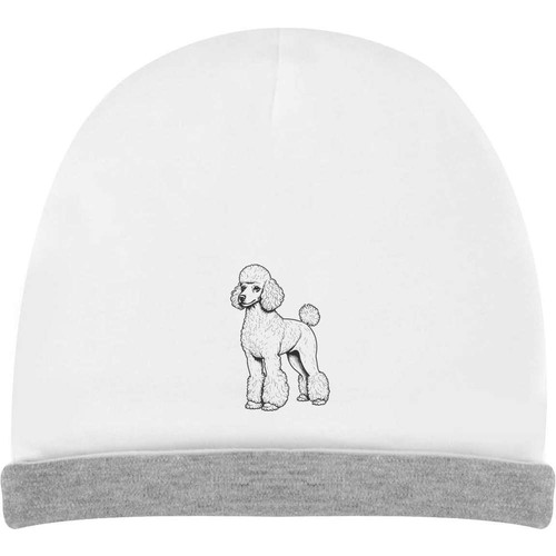Standard poodle kids - 'standard, poodle'