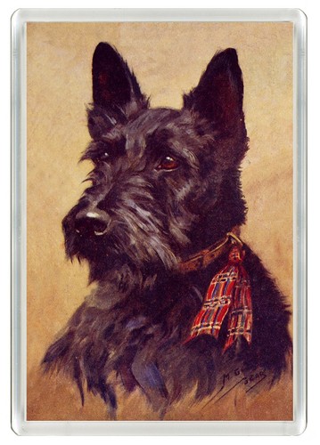 Scottish terrier dog fridge - scottish,