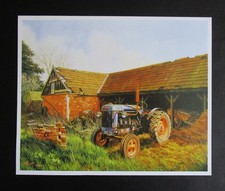 9.10" x  7.40"   MALCOLM ROOT