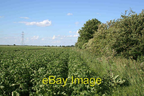 Photo 6x4 farmland weston - 6x4,