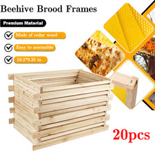 20pcs National Beehive Brood