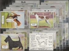 ARDATH-FULL SET- CHAMPION DOGS