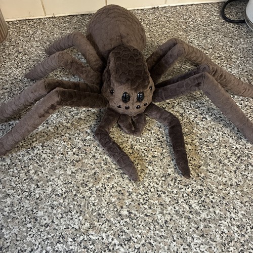 Harry potter aragog spider - potter,