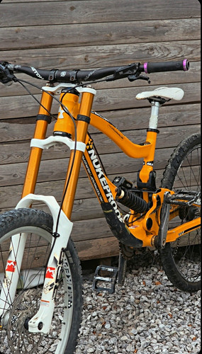 Nukeproof scalp 2010 custom - 2010,