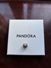 Wise Owl Pandora Charm S925