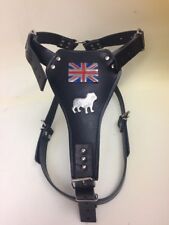British Bulldog leather dog