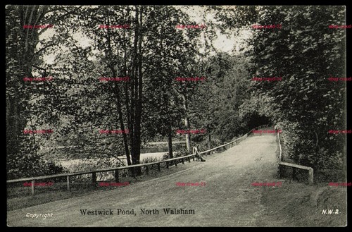 North walsham westwick pond - walsham,