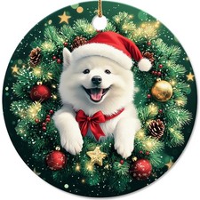 Funny Samoyed in Santa Hat