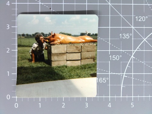 Vtg color photo 1960s woman - color,