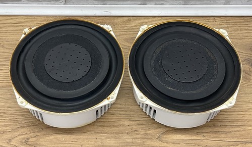 Celestion passive bass - x2,