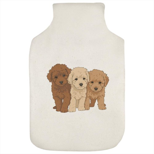Nice poodles puppies hot - 'nice, puppies'