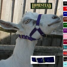 Goat HEADCOLLAR Halter Buckle Fastening  - 7 Colours - 5 Sizes