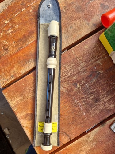 Recorder musical instrument - recorder,