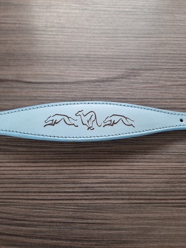 Italian greyhound collar - greyhound, 10-12