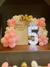 Wedding/Birthday Event