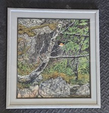 Beverly G Bairstow Rufous