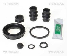 TRISCAN Brake Caliper Repair