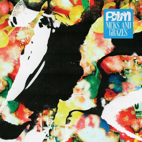 Palm nicks and grazes lp - nicks,