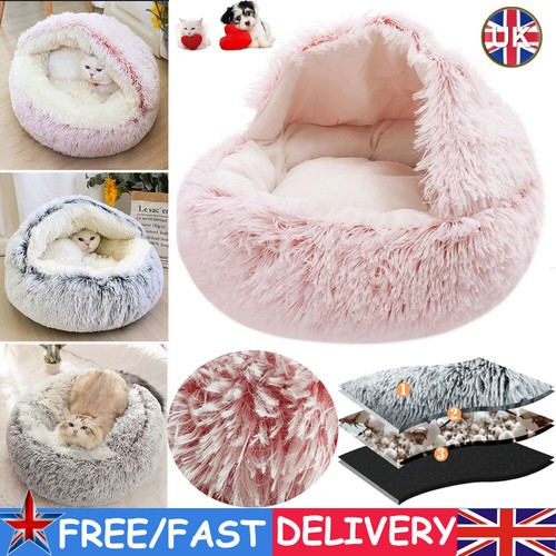 Large pet dog cat - large,