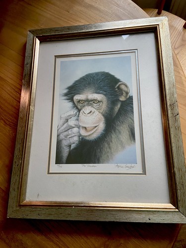 Original steven gayford rare - ,