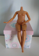 New Barbie Doll Body Curvy