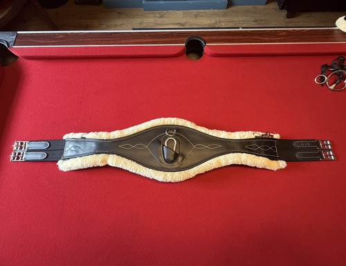 Kentucky anatomical girth - kentucky,