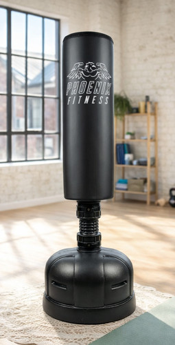 Phoenix fitness free standing - free,