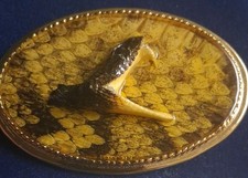 Snake Head Belt Buckle