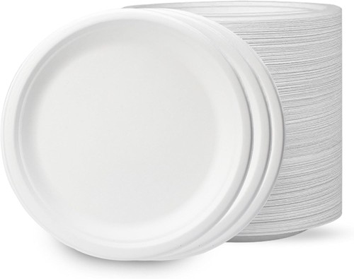 Biodegradable bagasse paper - biodegradable,