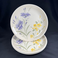 Biltons Set of 3 Dinner Plates