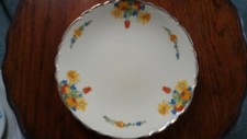 Decorative Floral Plate Royal Staffordshire Pottery Wilkingson Ltd Honeyglaze