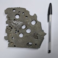 Rare Partial Fossil Fish from Lyme Regis. Charmouth. Jurassic Coast.