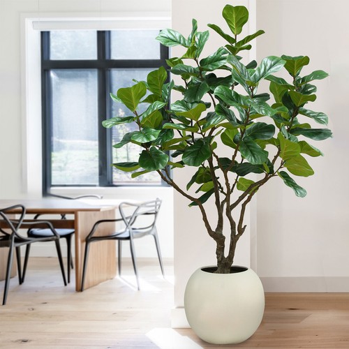 Artificial faux fig - artificial, tree