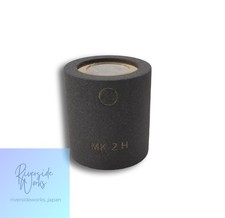 Schoeps MK2H Microphone