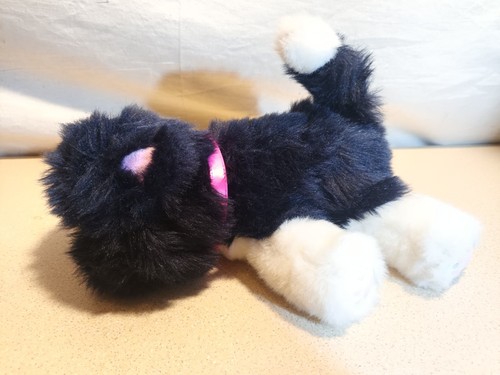 Little live pets - ~, black