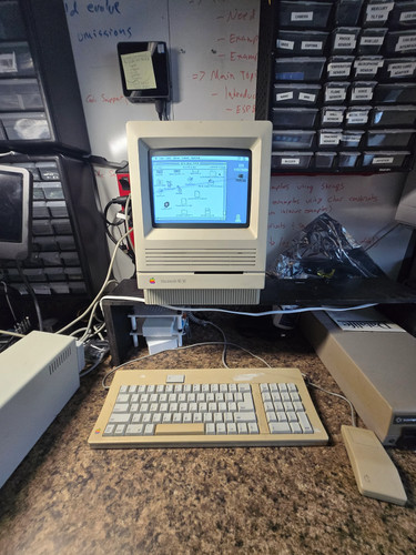 Apple macintosh - apple,