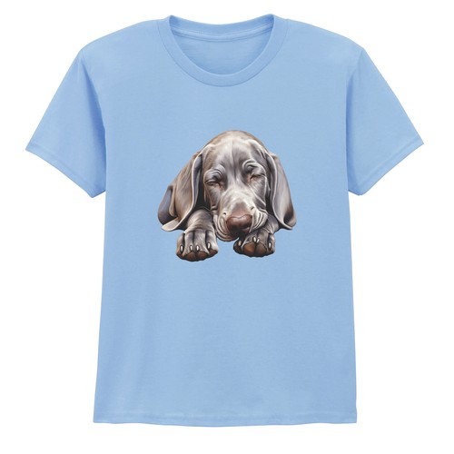Weimaraner puppy dogs animals - weimaraner,