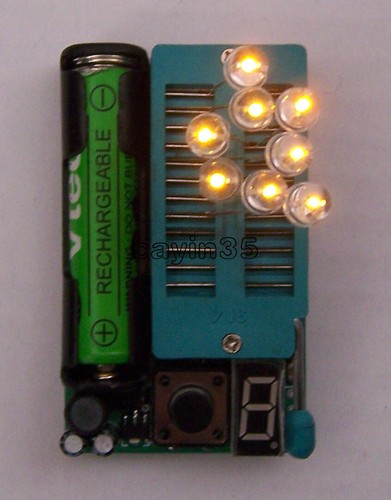 Multi function led - ic,