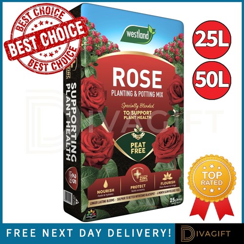 Rose compost organic - compost, plant